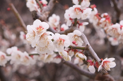 3월 국내 여행지 추천