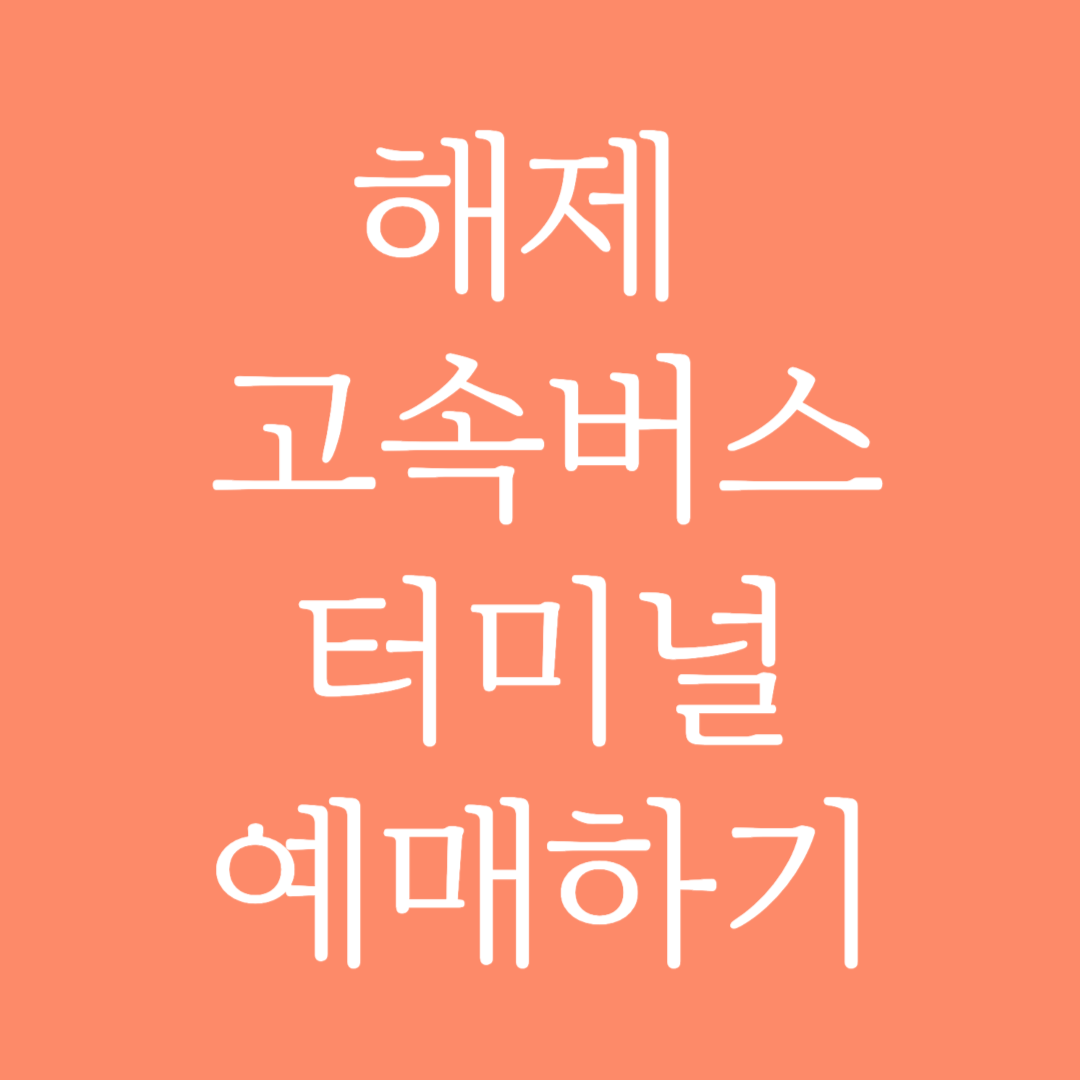 해제 고속버스터미널 시간표 조회 및 예매하기