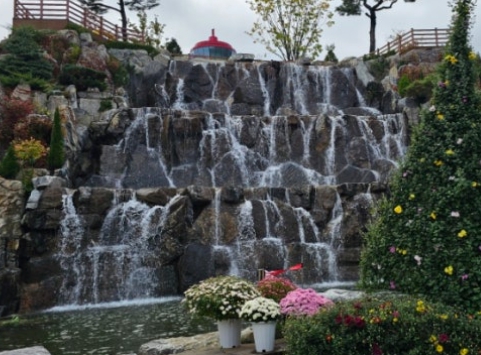 용인/새로운/인기/핫플/용/자작나/숲