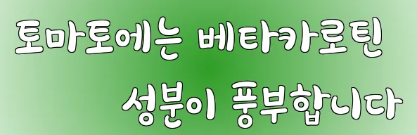 토마토에는 베타카로틴 성분이 풍부합니다
