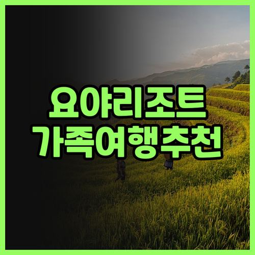 요야 리조트 후기: 시안 가족 여행객..