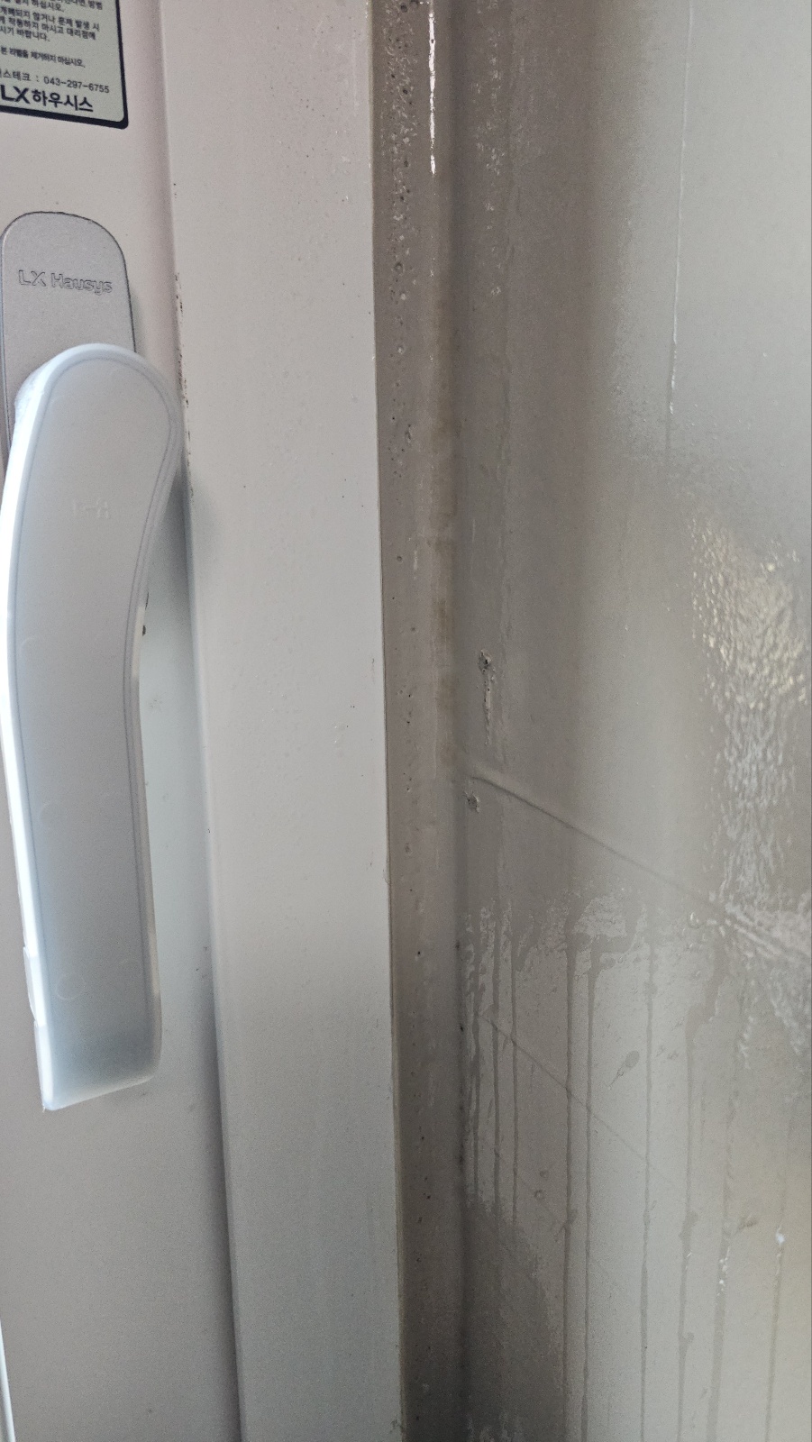 세탁실 곰팡이 제거｜닥터클린 곰팡이제거제/방지제 내돈내산 사용기