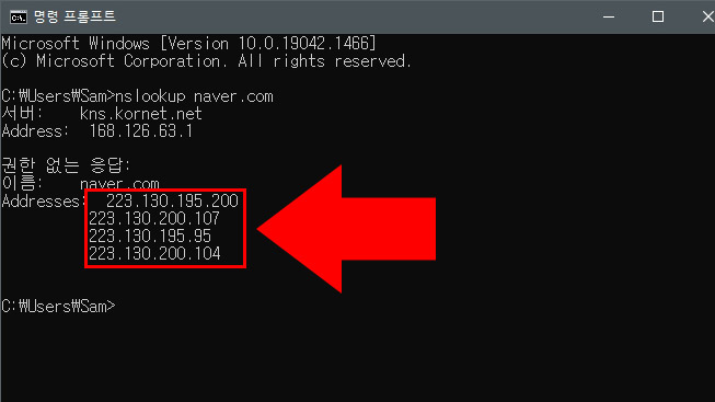웹사이트 아이피 주소 목록