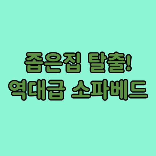 좁은 집 넓게 쓰는 소파베드 추천 5..