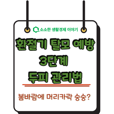 봄바람에 머리카락 숭숭? 환절기 탈모 예방하는 3단계 두피 관리법