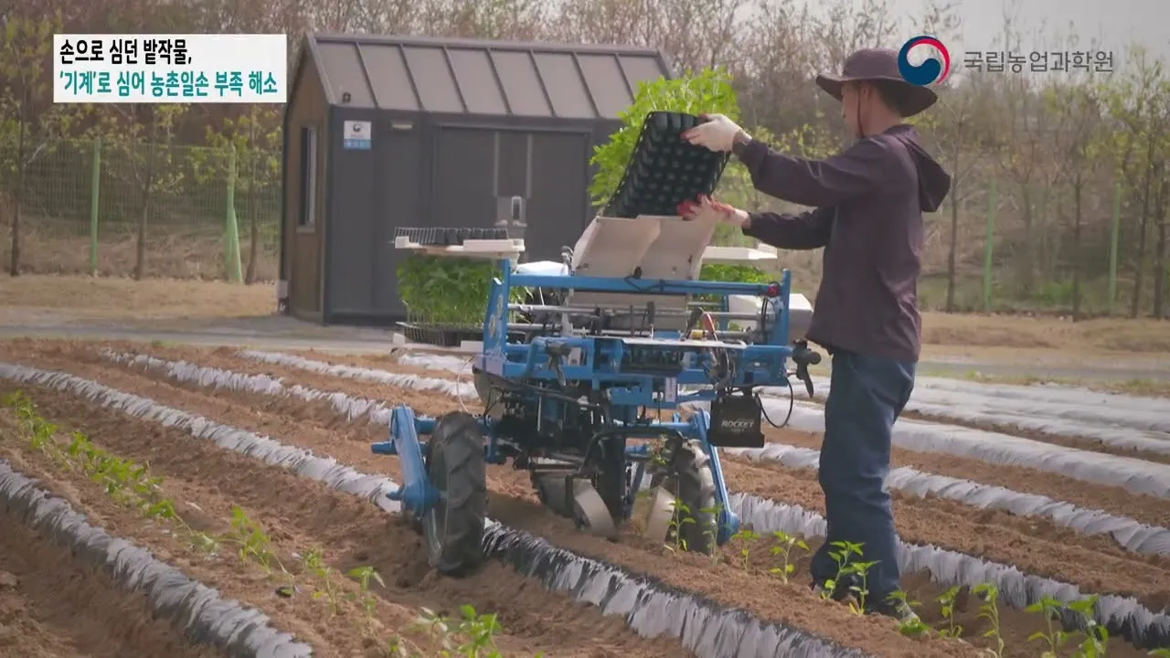 6월에 심는 밭작물 채소_4