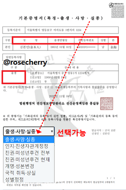 기본증명서-특정-서식예시-출생-사망-실종선고-주민등록번호-출생연월일-정정-등-내용
