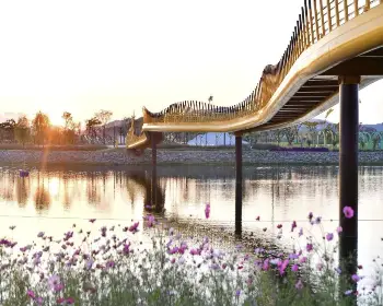 장성 황룡강 가을꽃축제_27