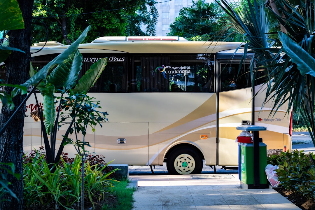 Bus