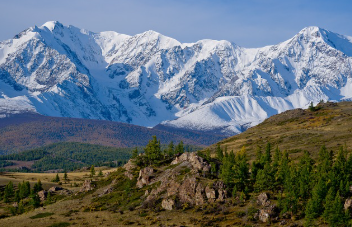 검버섯이 생기는 이유 총정리 11