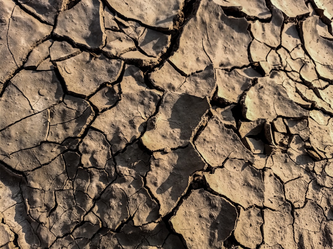 Mud