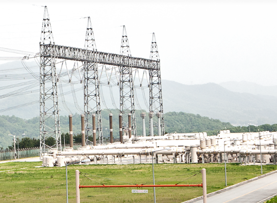 한국전력 배당금 배당금지급일 확정! 4년 만의 한전배당, 한국전력 주가전망