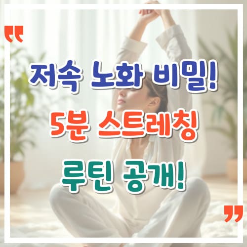 저속-노화의-비밀-5분-스트레칭-루틴-공개