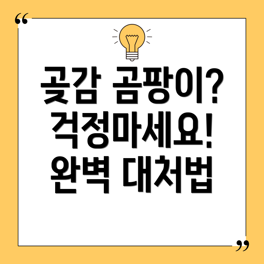 곶감 곰팡이