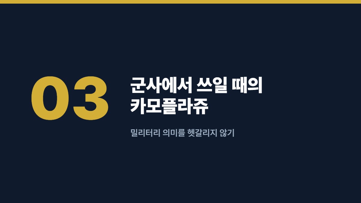군사에서 쓰일 때의 카모플라쥬 — 밀리터리 의미를 헷갈리지 않기