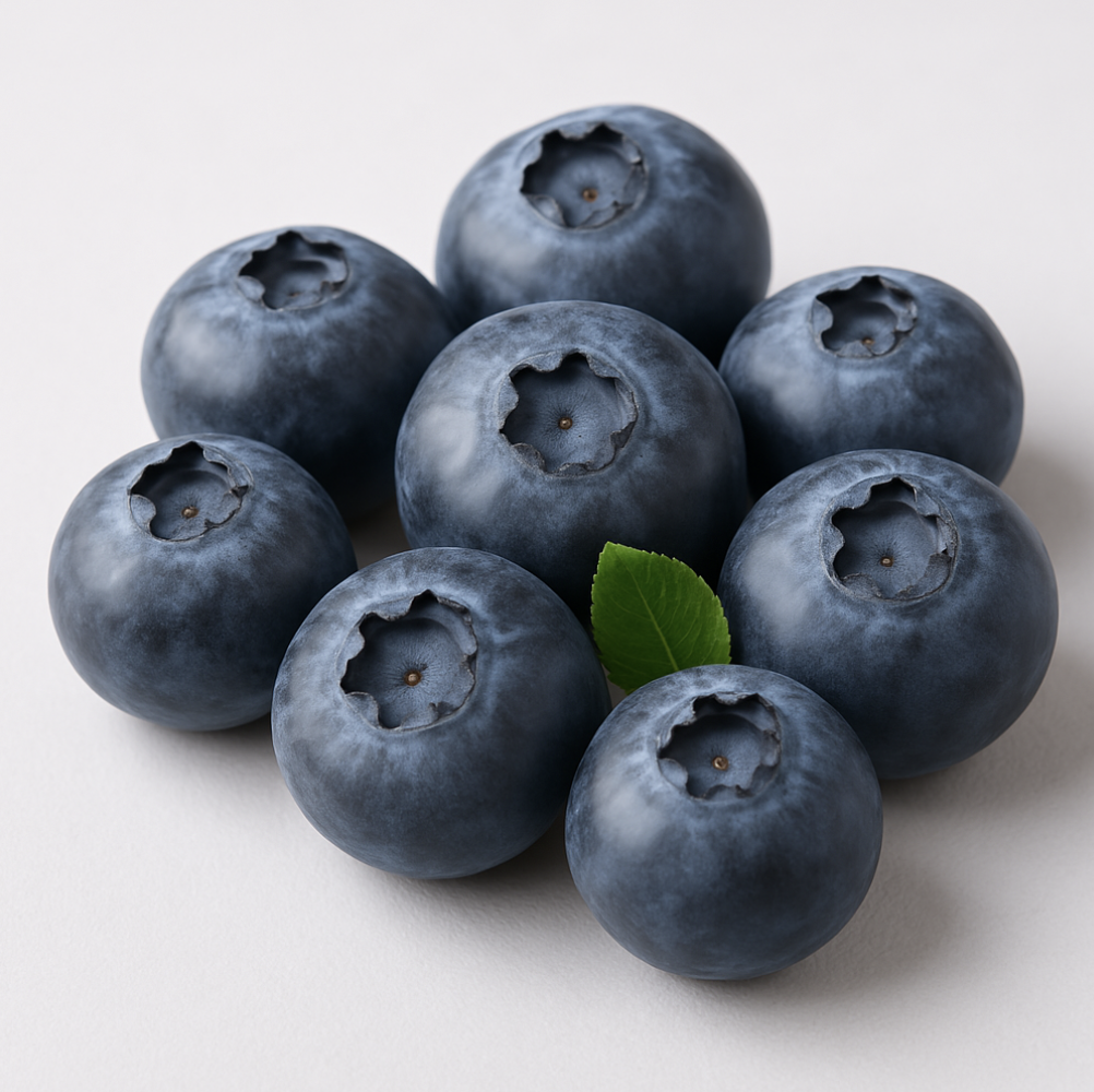 블루베리 이미지
