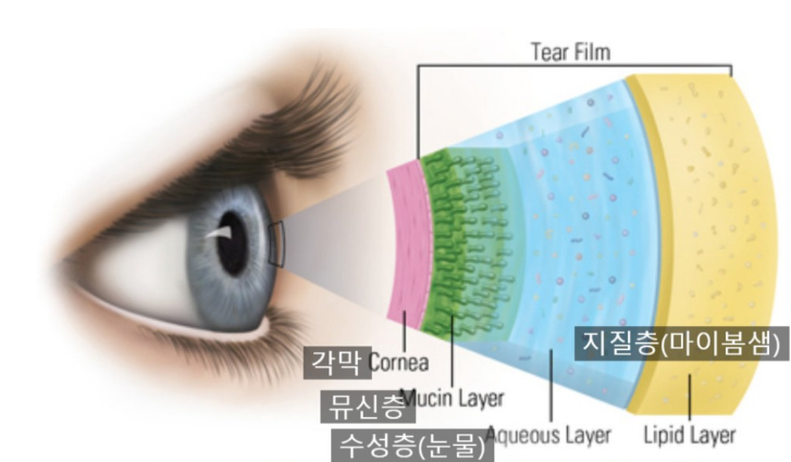 눈물 구성 그림