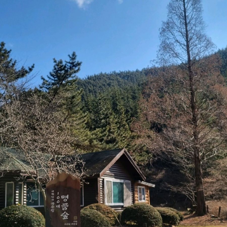 희리산해송자연휴양림