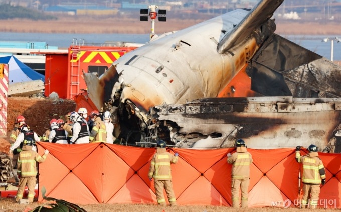 세계 버드스트라이크 사고 사례