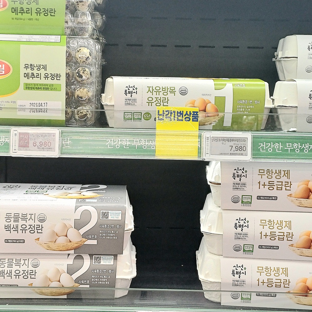 마트 계란 진열대에서 사육환경 표시 제품 비교하는 모습