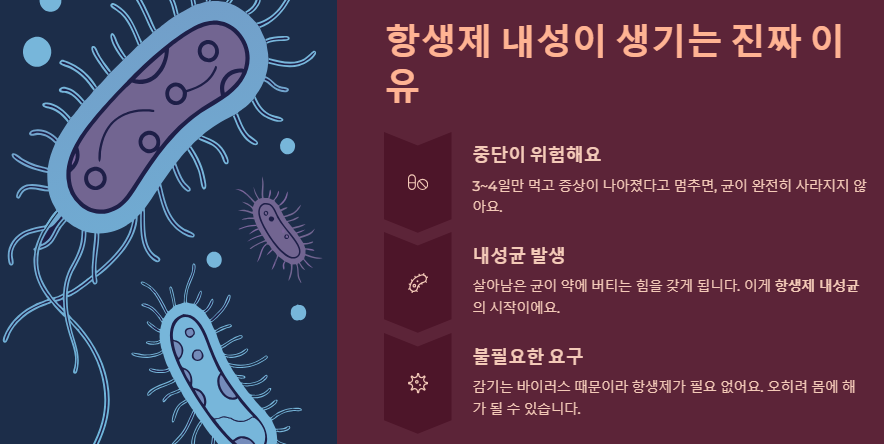 항생제 내성이 생기는 이유