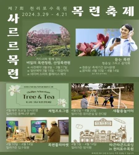 천리포수목원 목련 축제_1