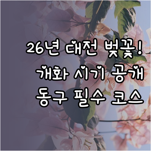 2026년 대전 벚꽃 개화 시기 및 ..