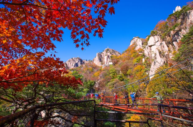 2025 충청도 단풍 명산 코스 추천 ❘ 월악산·계룡산·속리산 절정 시기