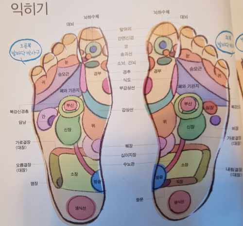 발 반사구 1