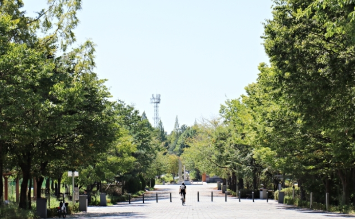 익산 가볼만한곳 베스트10