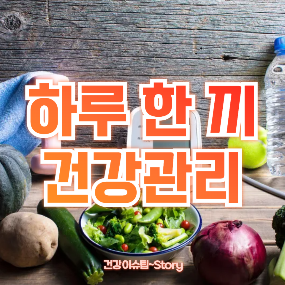 하루 한 끼 건강관리