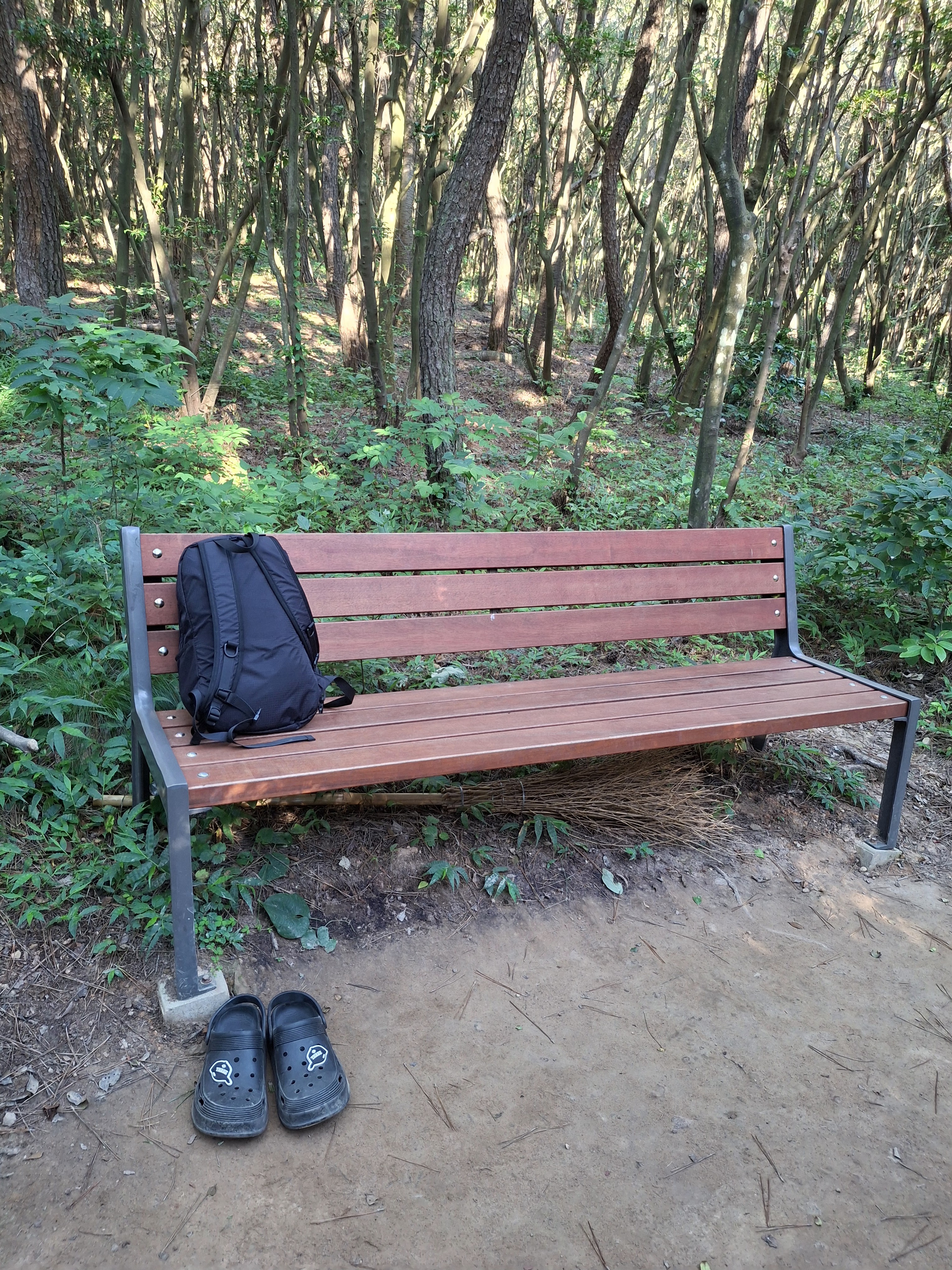 공기도 좋은 숲 맨발 걷기