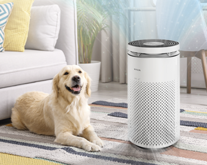 위니아 공기청정기와 함께 있는 강아지