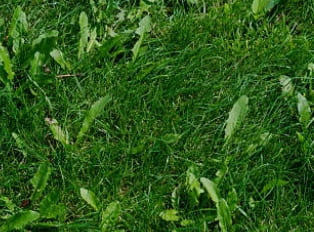 자궁근종 증상과 자궁근종 명의 서울