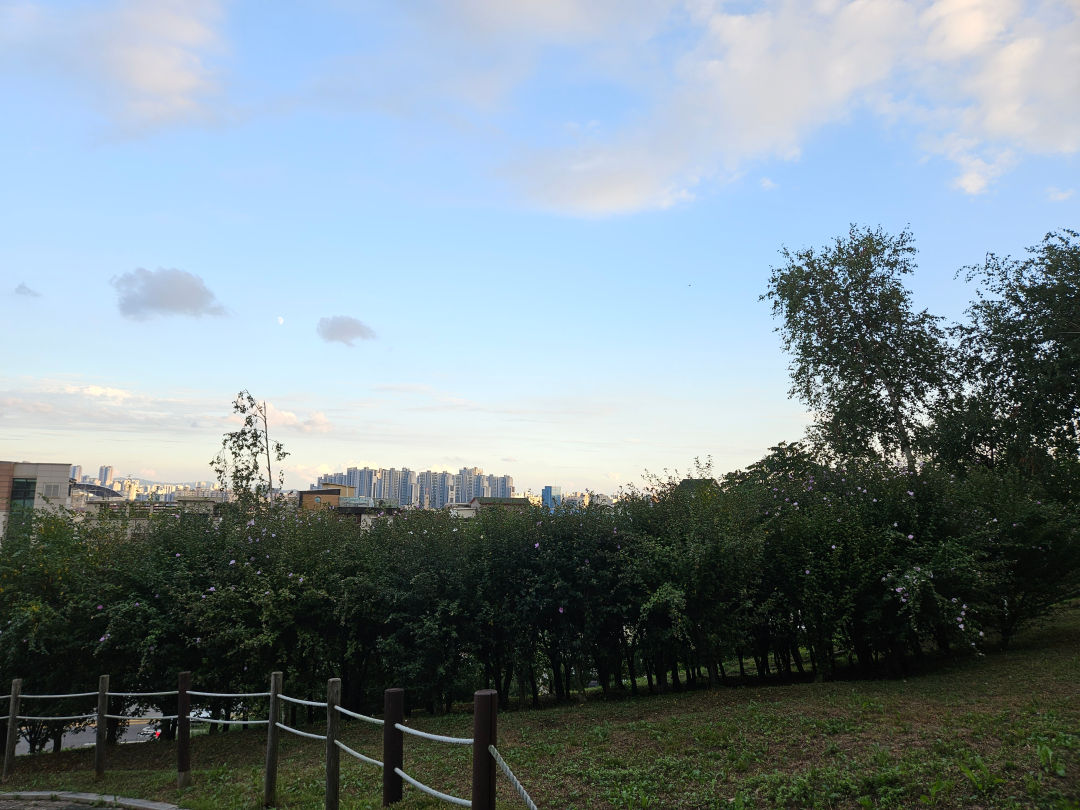 퉁소바위공원 무궁화