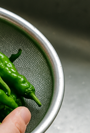 꽈리고추 멸치볶음