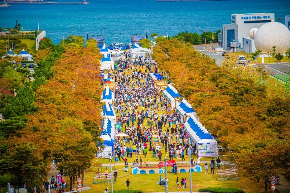 영도 다리 축제 관련 사진