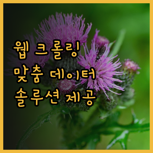 웹 크롤링 전문가가 제공하는 맞춤형 