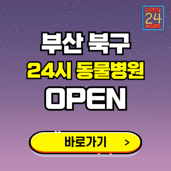 부산 북구 24시 동물병원 진료하는 곳 ❘ 설날 휴일 야간 심야 문여는곳 찾기 ❘ 응급진료