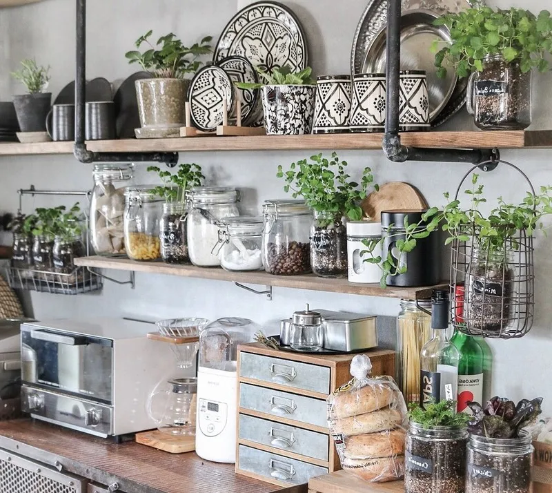 주방 허브 키우기 물주기 수확관리 세척보관 어르신도 간단 실천_3