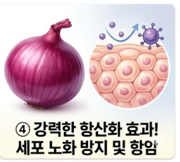 양파 보관법