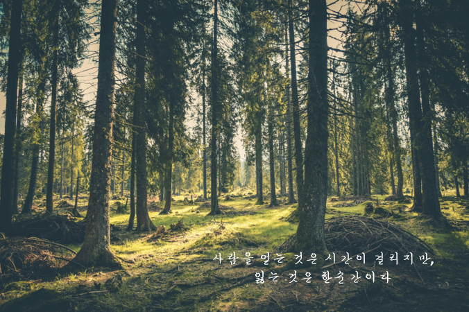 힘들때 읽으면 눈물나는 명언 50가지