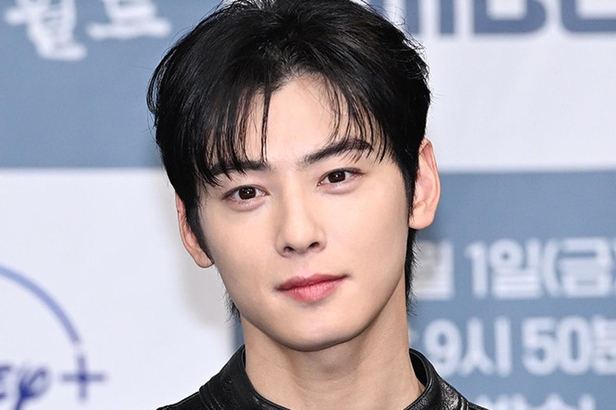 차은우 조세심판 청구, 130억 원 세금 완납 후 과세 처분에 법적 대응 참고 이미지 2