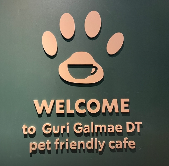 스타벅스 강아지 카페 (애견동반카페) 스타벅스 구리점 후기