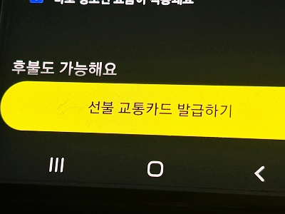 카카오페이 교통카드