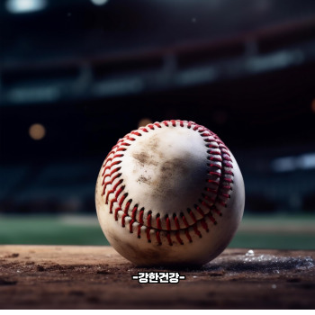 전직 야구선수 아내 폭행