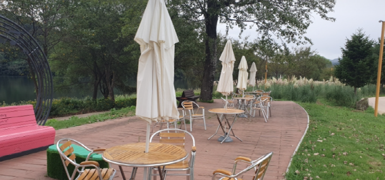 자라섬 꽃 페스타