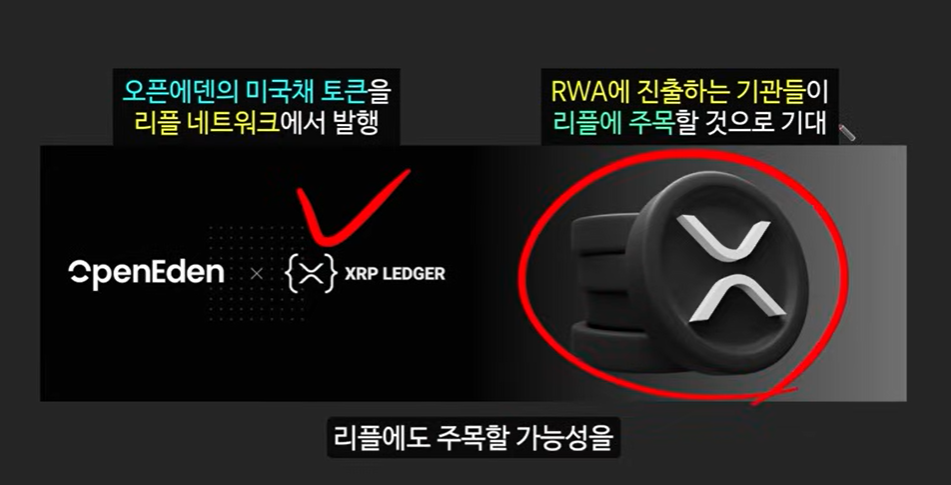 리플 소송 승리와 브라질 솔라나 ETF 승인! XDC 코인에 주목해야 할 이유