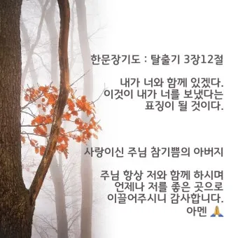 탈출기 3장 시내산 불타는 떨기나무 속에 나타나신 하느님_17