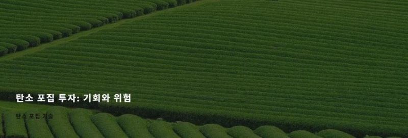 Carbon-Removal-Investment-Success-Cases